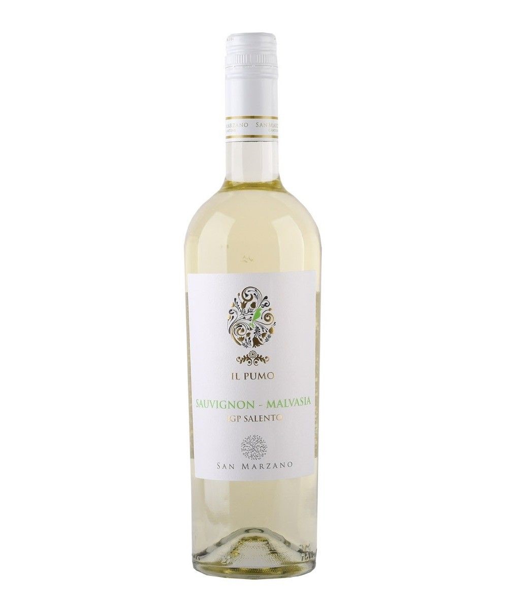efficiëntie Knooppunt Twinkelen San Marzano Il Pumo Sauvignon - Malvasia kopen? - Plus Wine Venlo - Witte  wijn